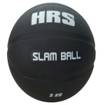slamball3.jpg